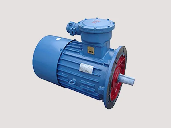 Electric Motor